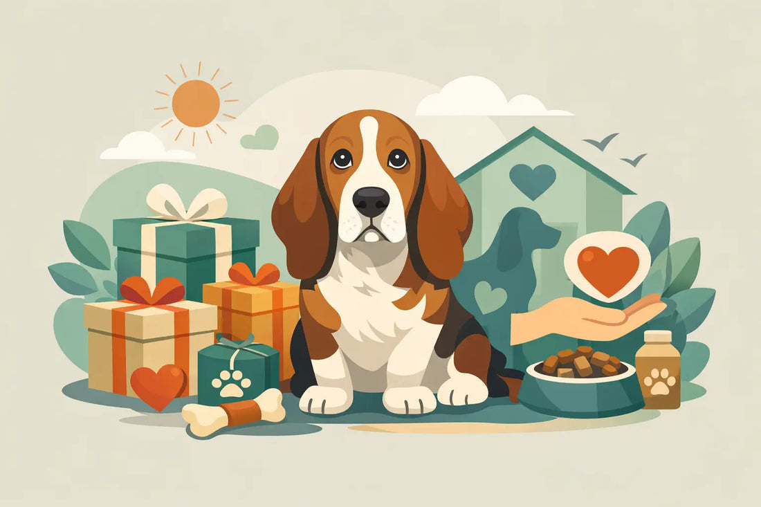 11 Basset Hound Rescue Gifts That Give Back